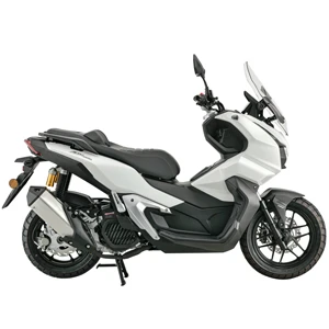 Scooter IMF ADN