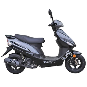 Scooter IMF Gecko